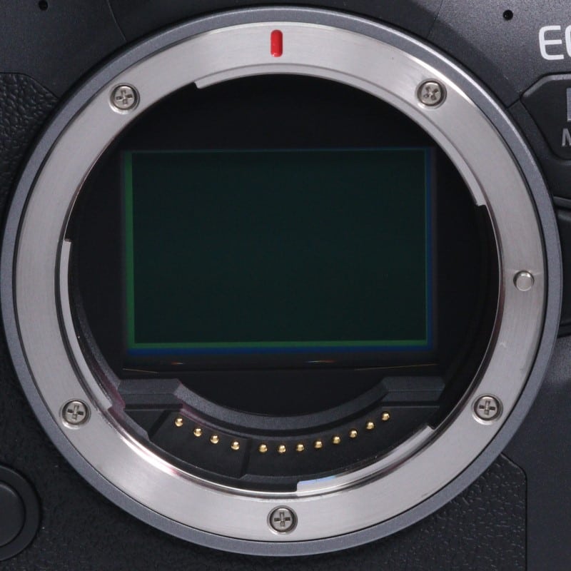 EOS R6 Mark II ボディー
