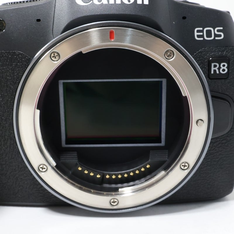 EOS R8 ボディー