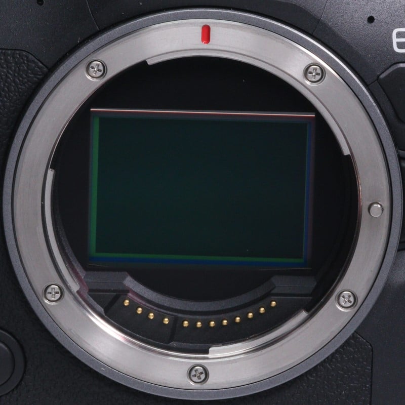 EOS R6 Mark II ボディー