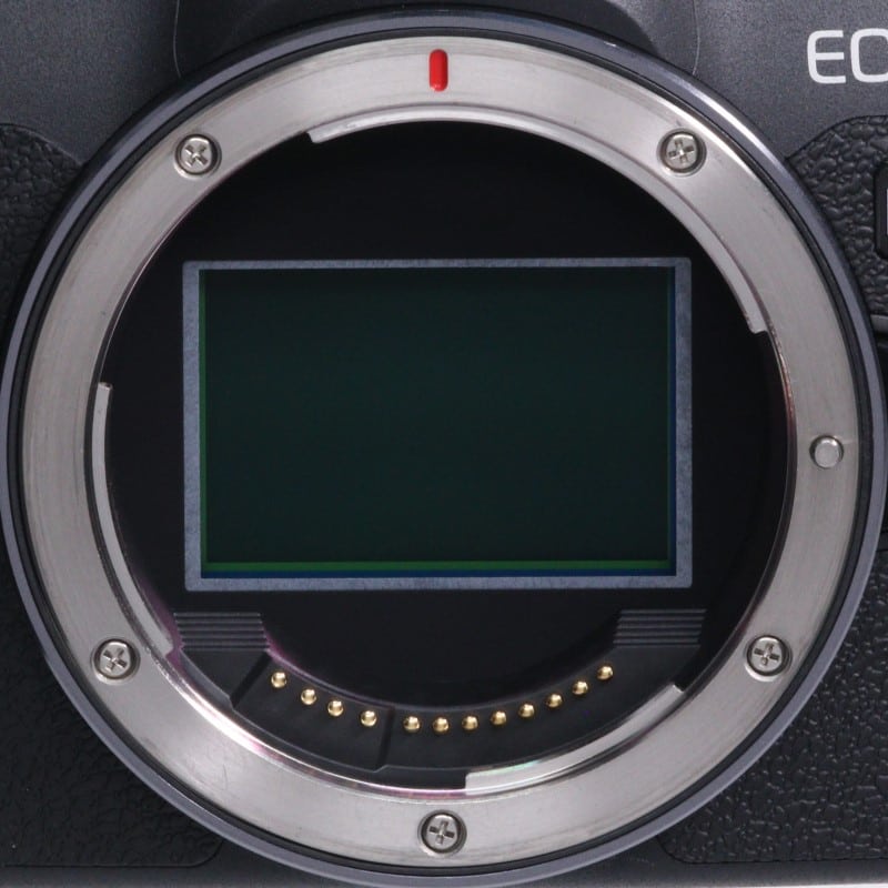 EOS R8 ボディー