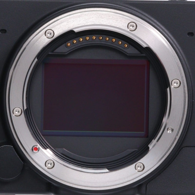 fp L ボディ