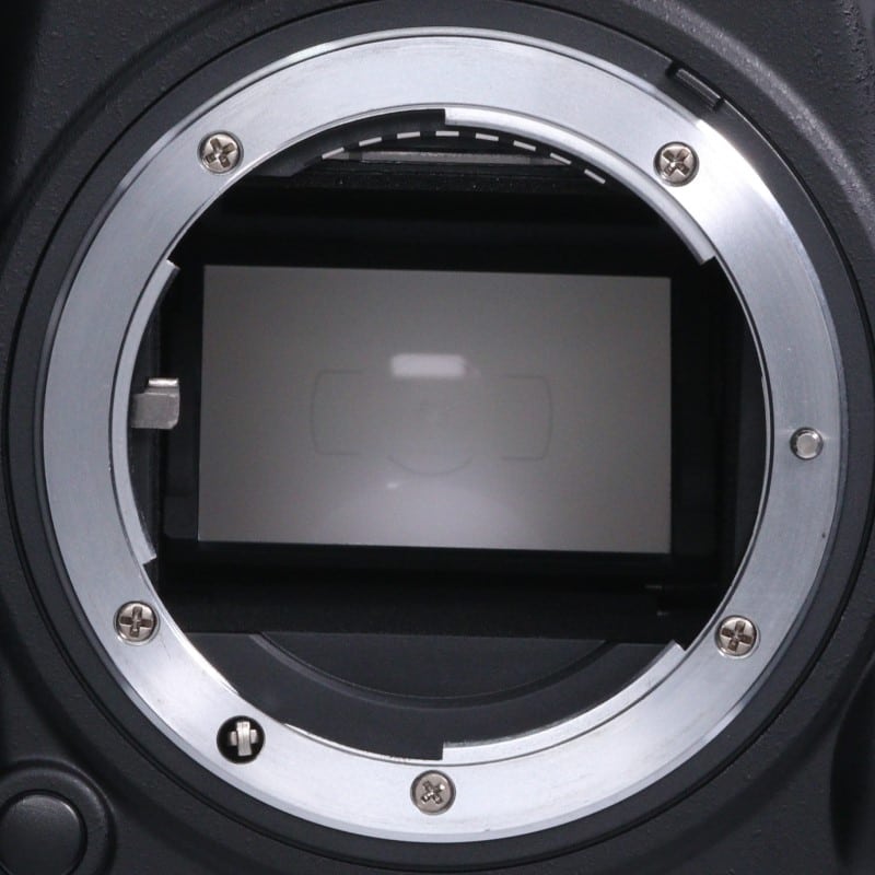 D610 ボディ