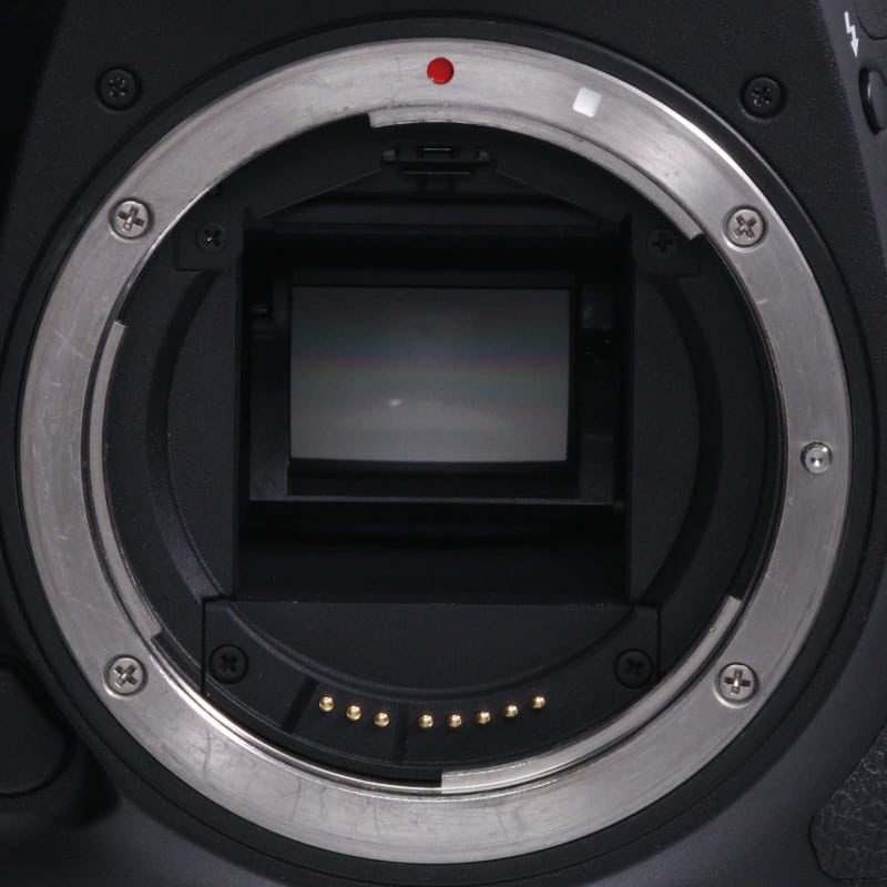EOS 7D Mark II ボディー