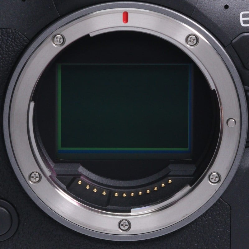 EOS R6 Mark II ボディー