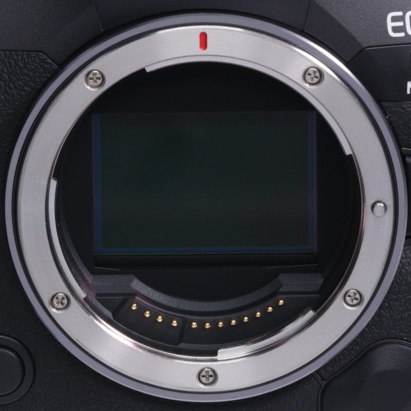 EOS R5 Mark II ボディー