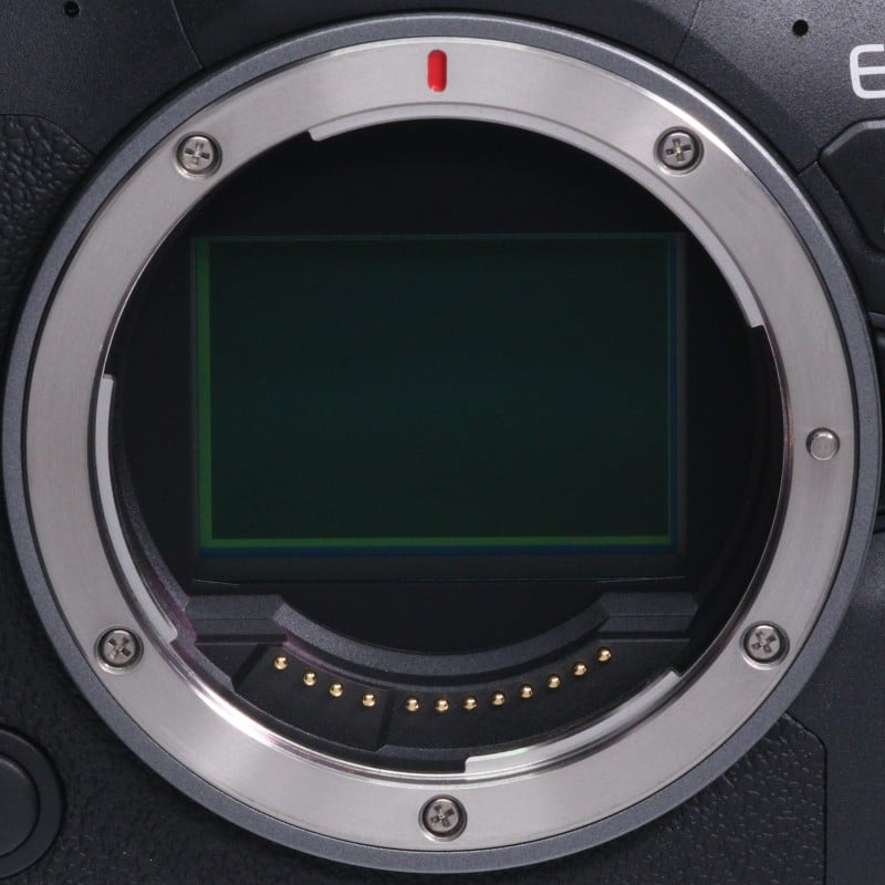 EOS R6 Mark II ボディー