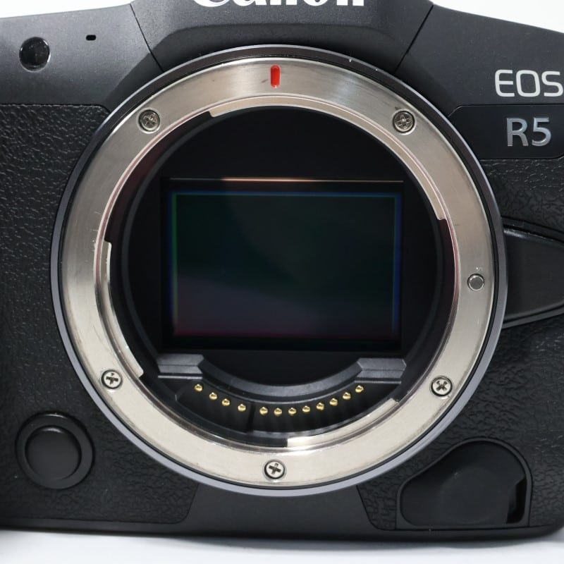 EOS R5 ボディー