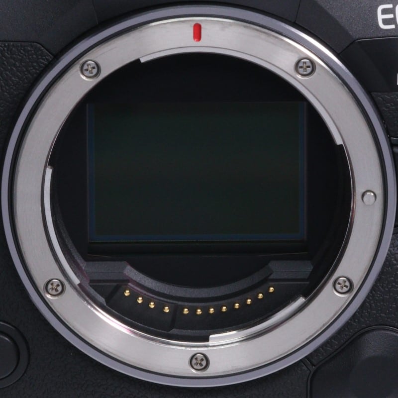 EOS R5 Mark II ボディー