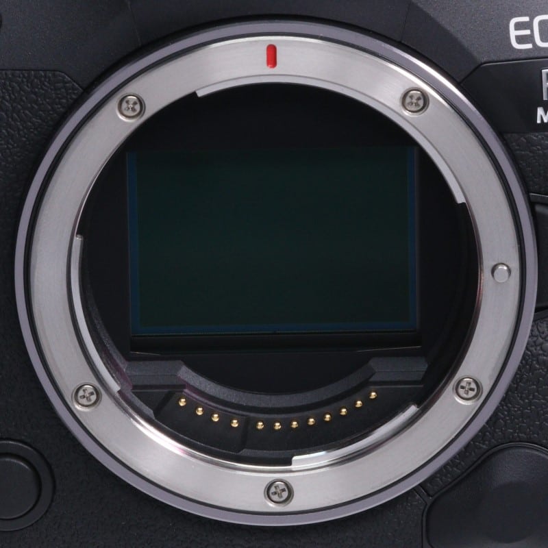 EOS R5 Mark II ボディー