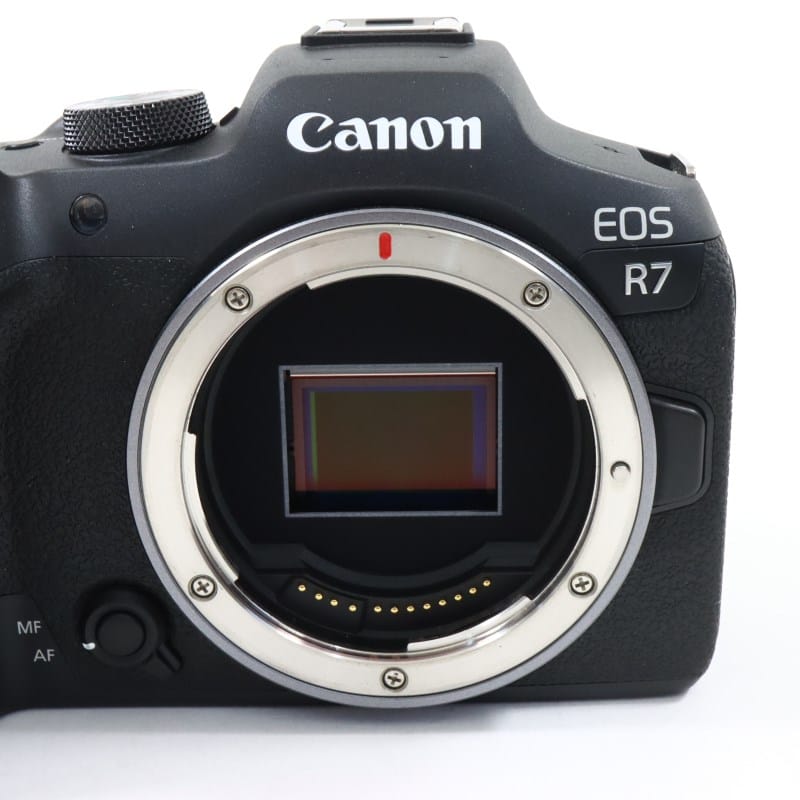 EOS R7 ボディー