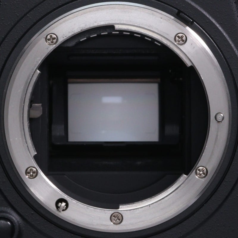 D500 ボディ