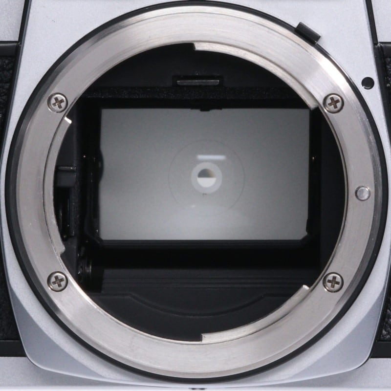 New FM2 シルバー