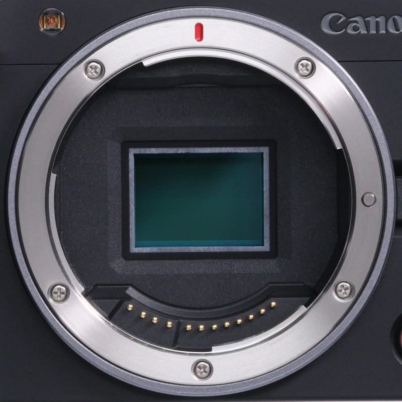 EOS R50 V ボディー
