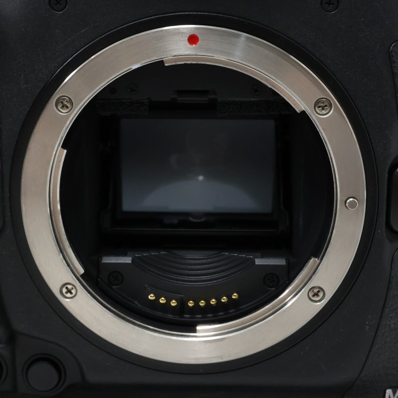 EOS-1D X Mark II ボディー