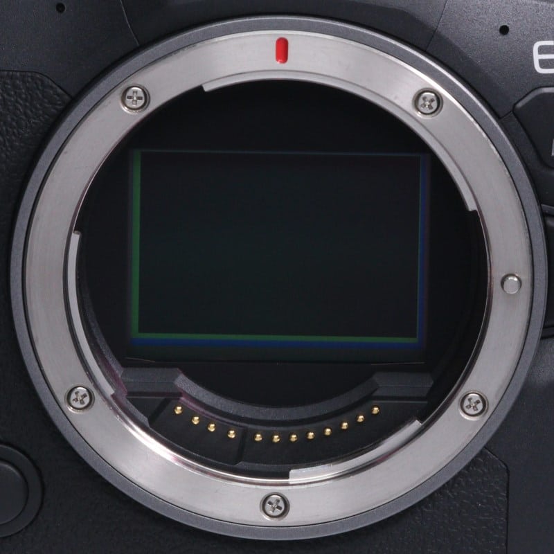 EOS R6 Mark II ボディー
