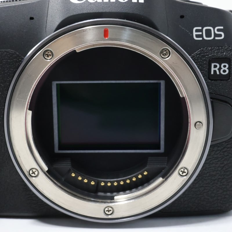 EOS R8 ボディー
