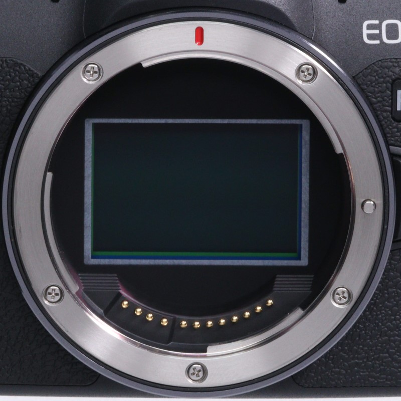 EOS R8