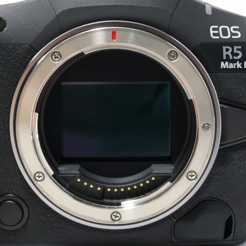 EOS R5 Mark II ボディー