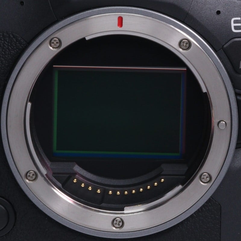 EOS R6 Mark II ボディー