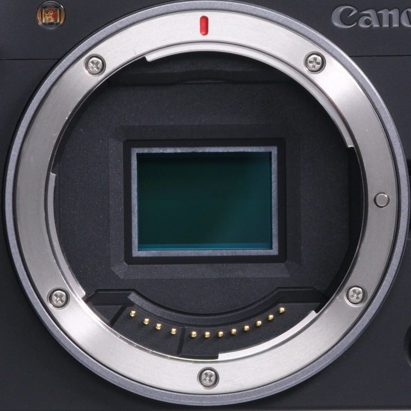 EOS R50 V ボディー