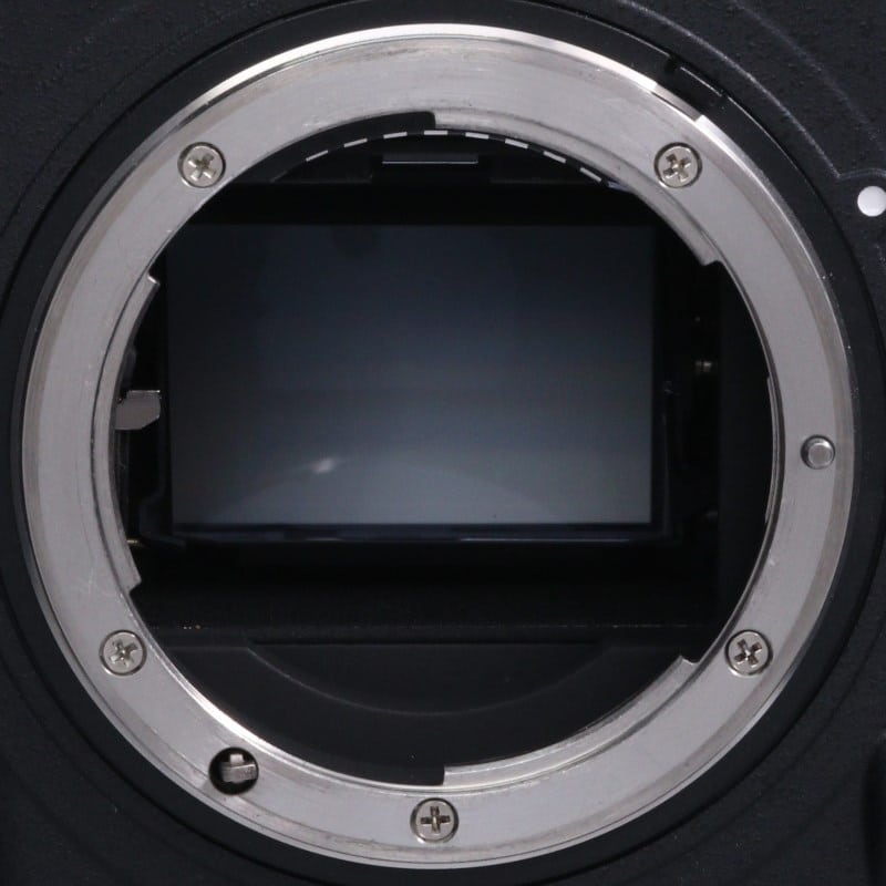 D5 XQD-Type ボディ