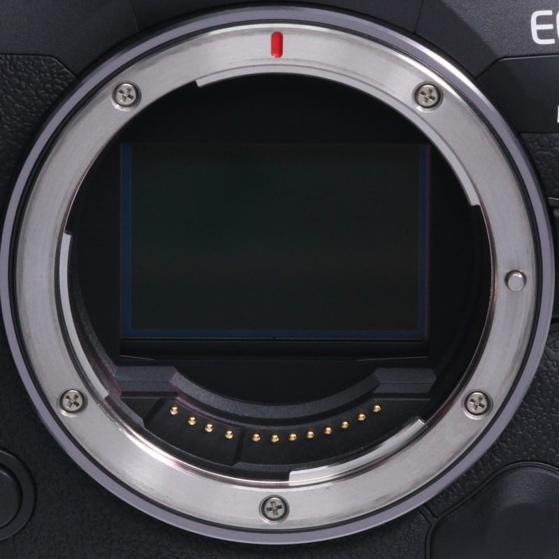 EOS R5 Mark II ボディー