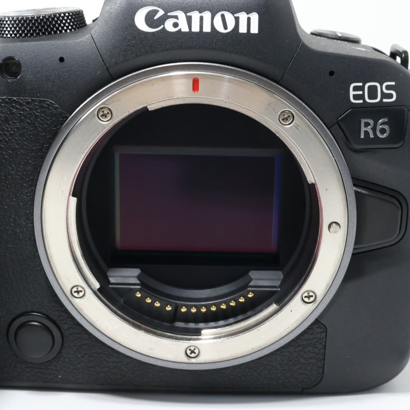 EOS R6 ボディー