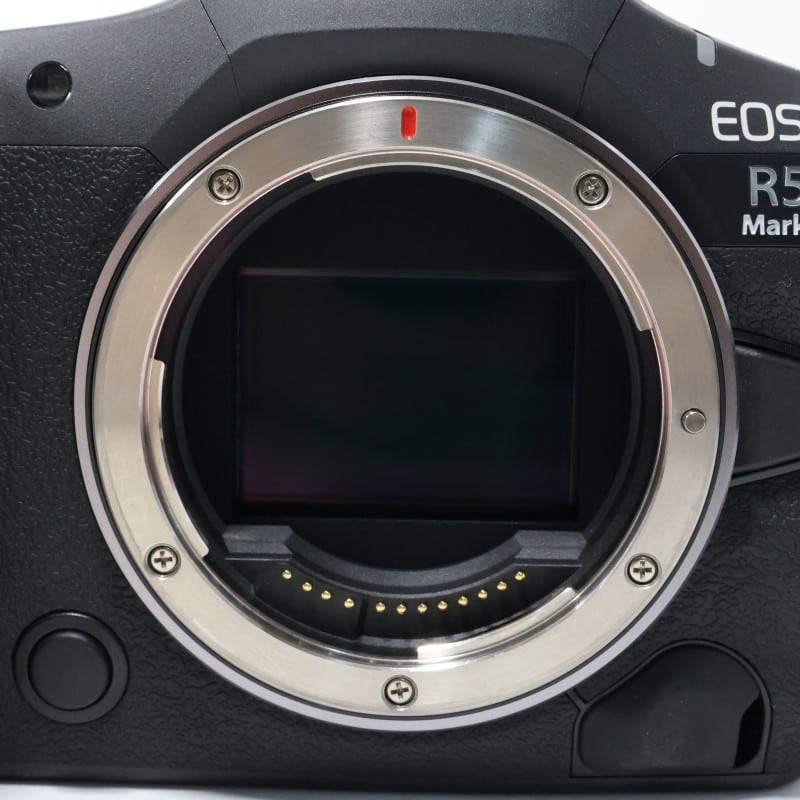 EOS R5 Mark II ボディー