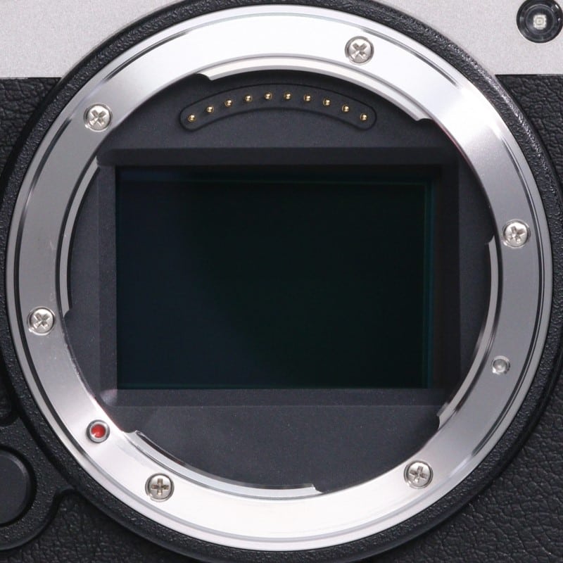 LUMIX S9 ボディ シルバー DC-S9-S