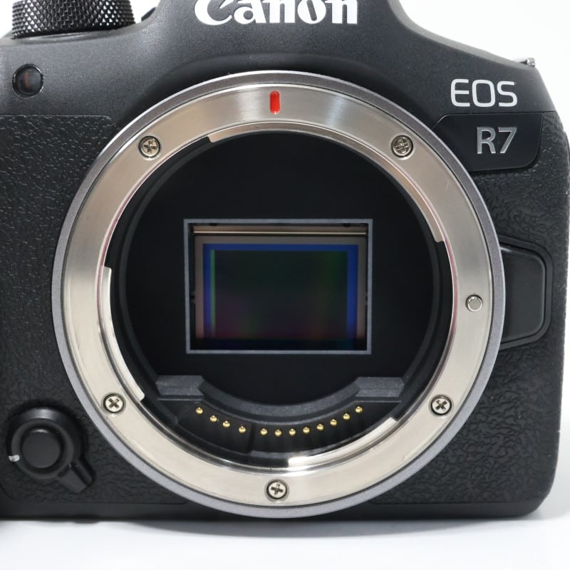 EOS R7 ボディー