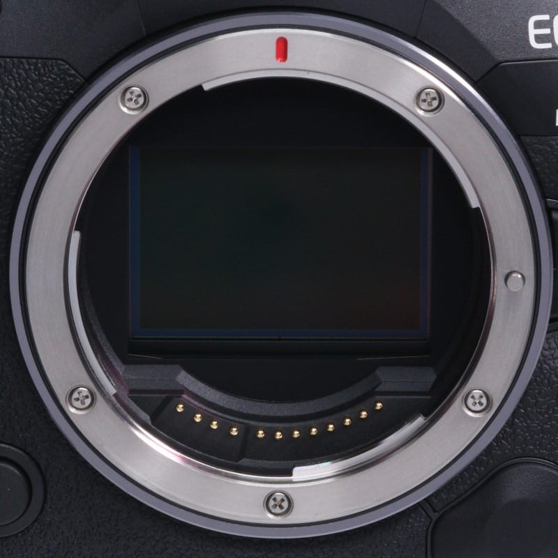 EOS R5 Mark II ボディー