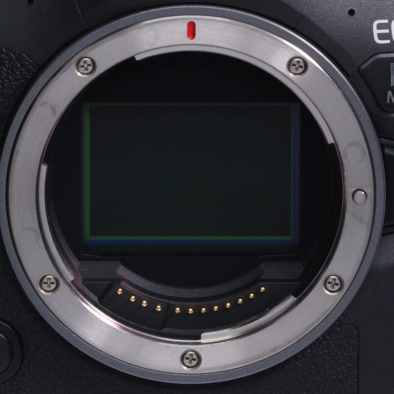 EOS R6 Mark II ボディー