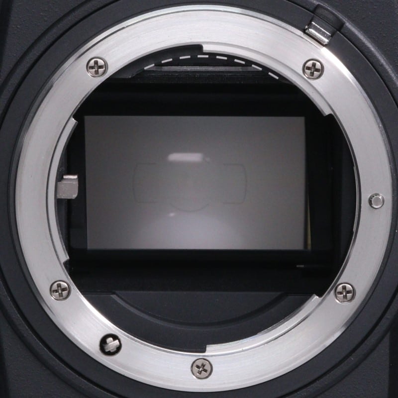 Df ボディ ブラック