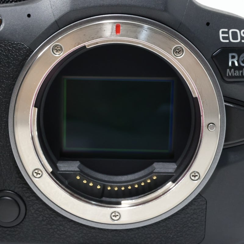 EOS R6 Mark II ボディー