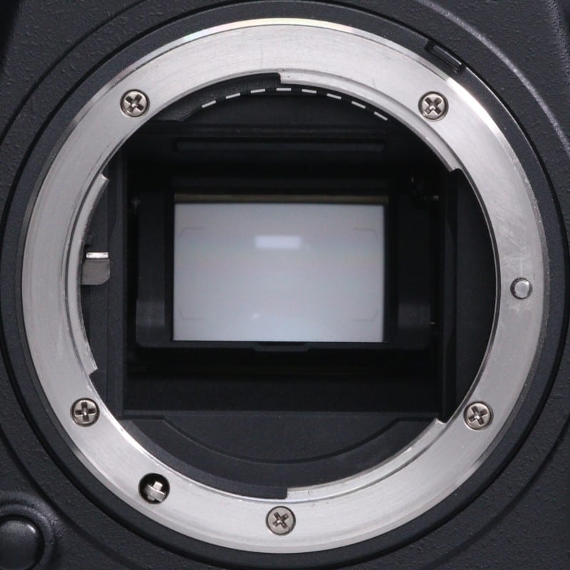 D500 ボディ