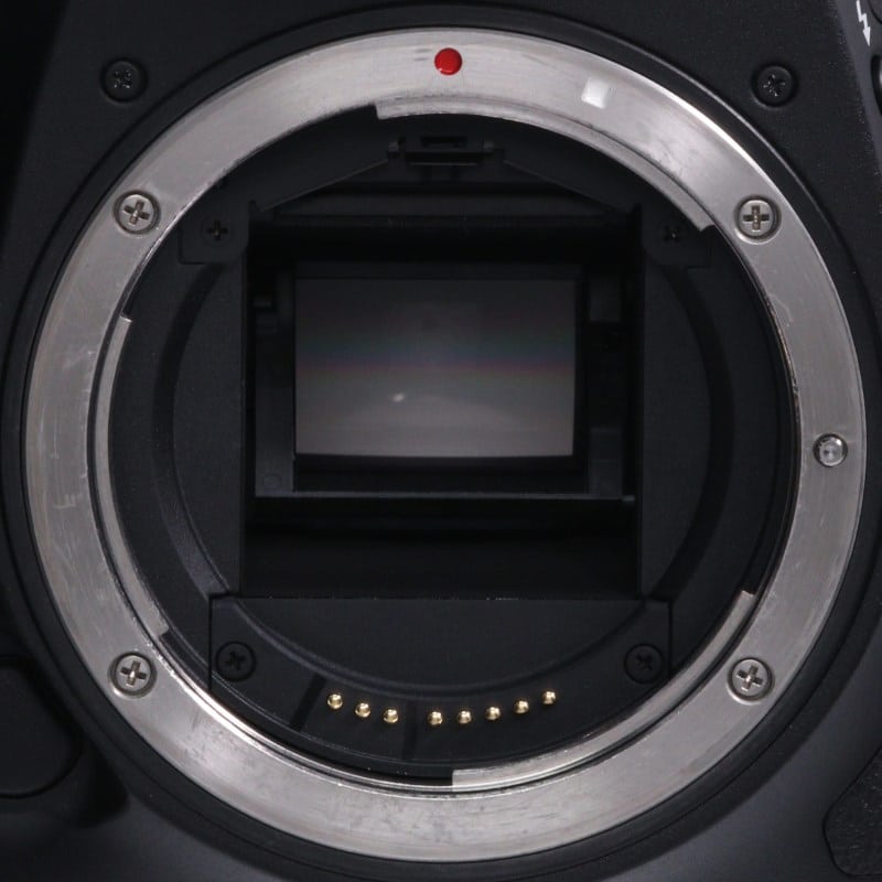 EOS 7D Mark II ボディー