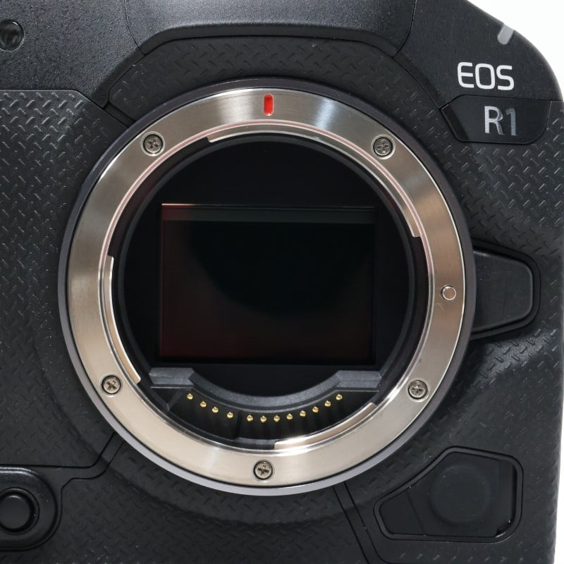 EOS R1 ボディー