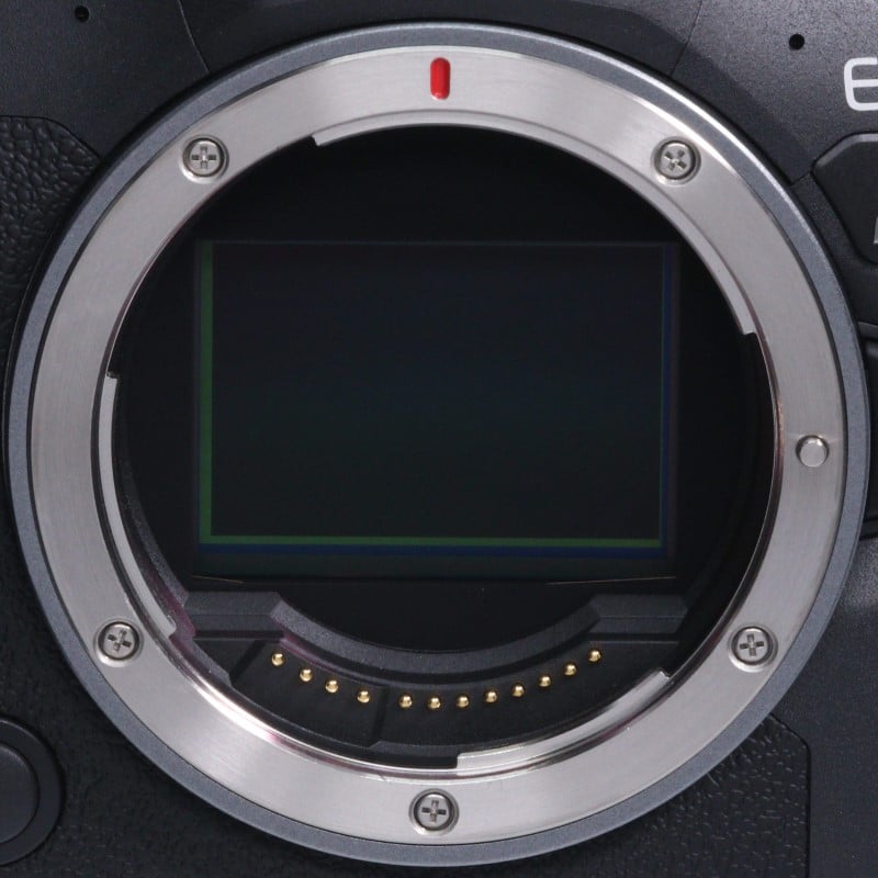 EOS R6 Mark II ボディー