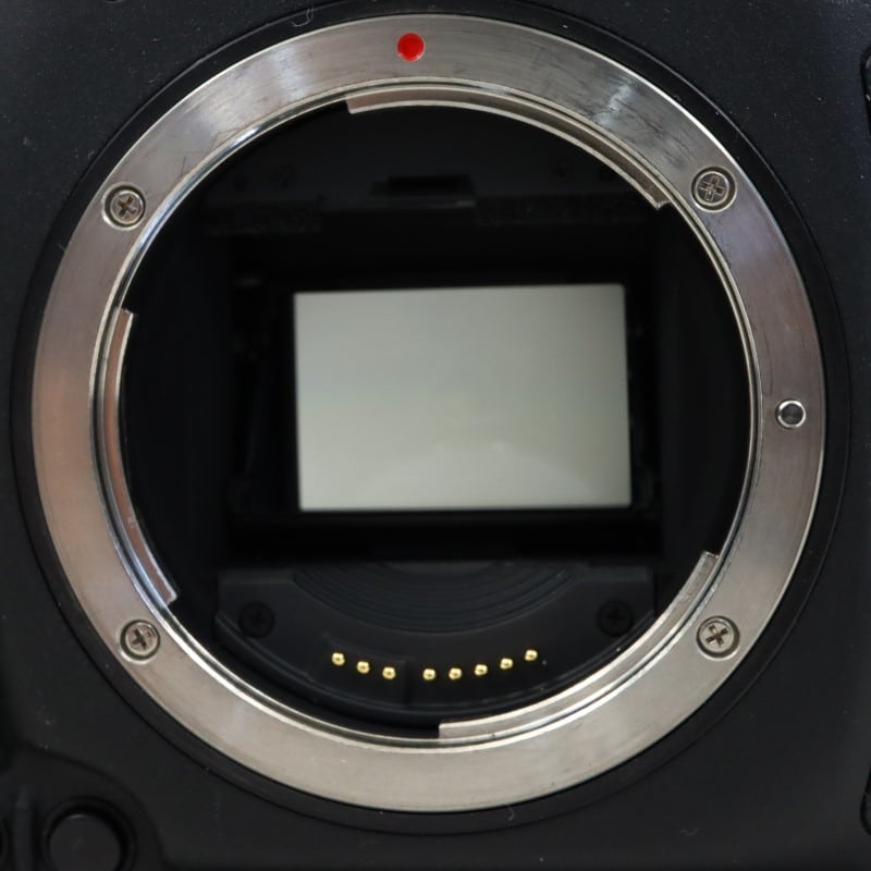 EOS-1D X ボディー