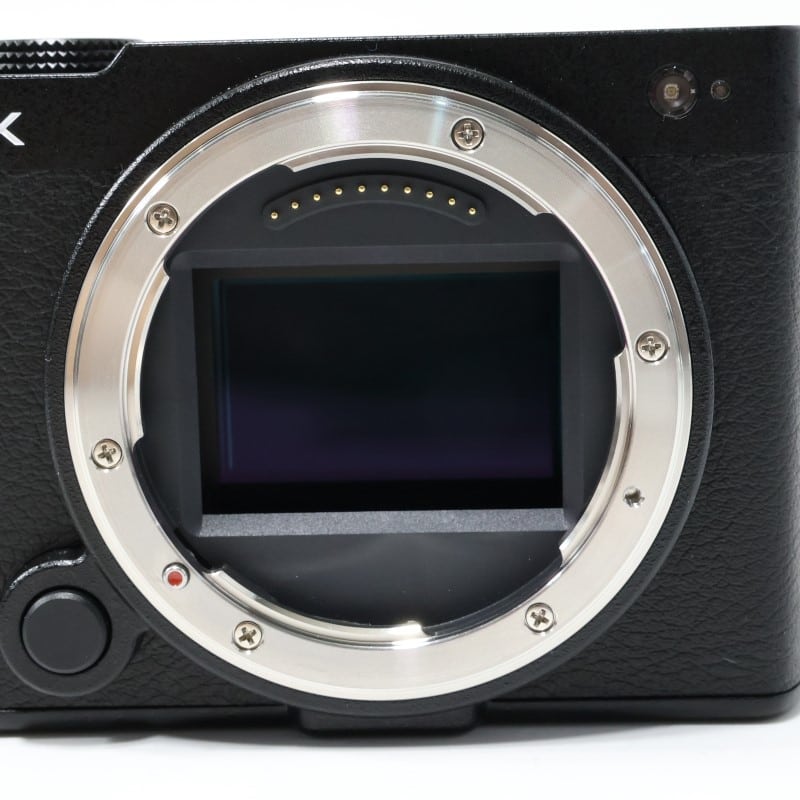 LUMIX S9 ボディ ジェットブラック DC-S9-K