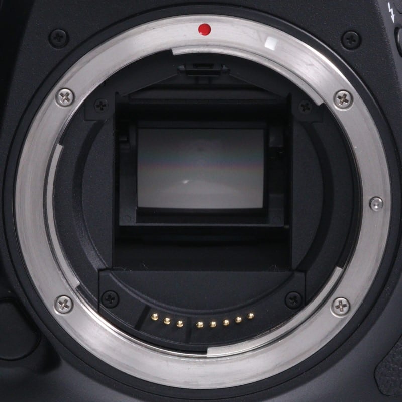 EOS 7D Mark II ボディー
