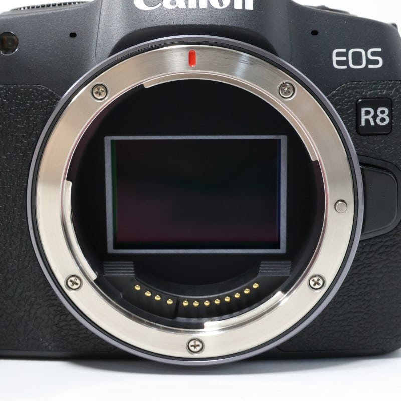 EOS R8 ボディー