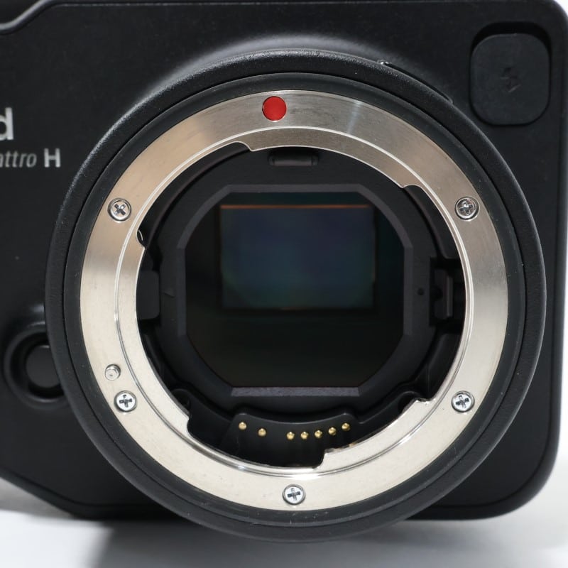 sd Quattro H ボディ