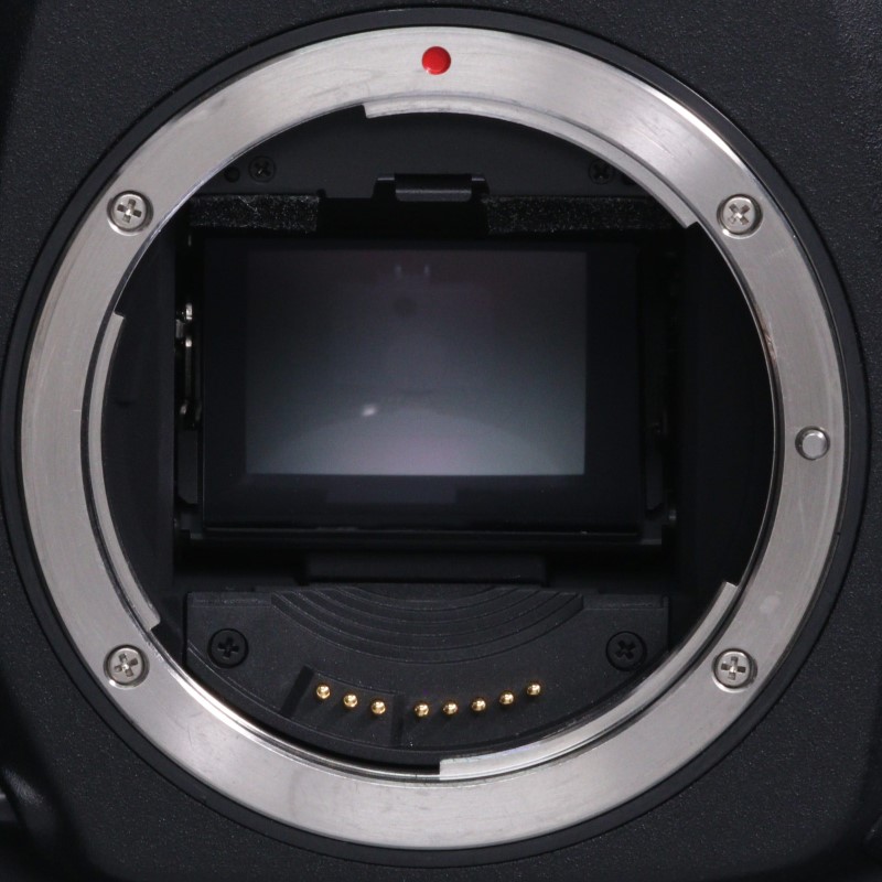 EOS-1D Mark IV