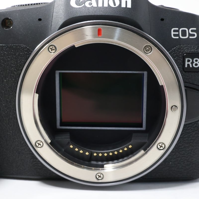 EOS R8 ボディー