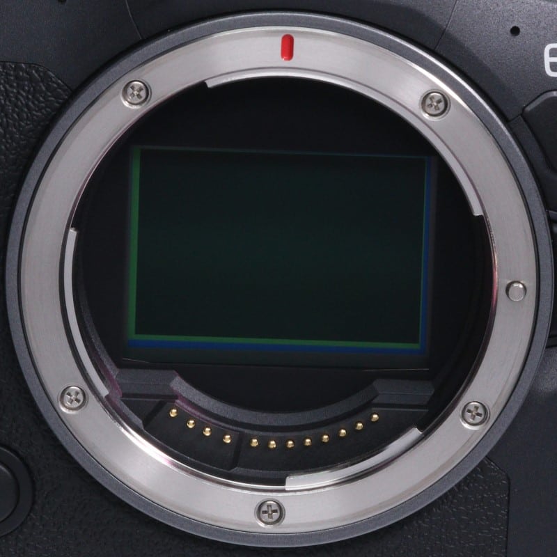 EOS R6 Mark II ボディー