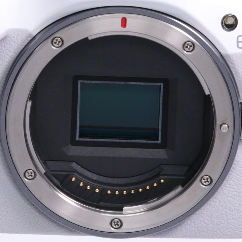 EOS R50 ボディー ホワイト