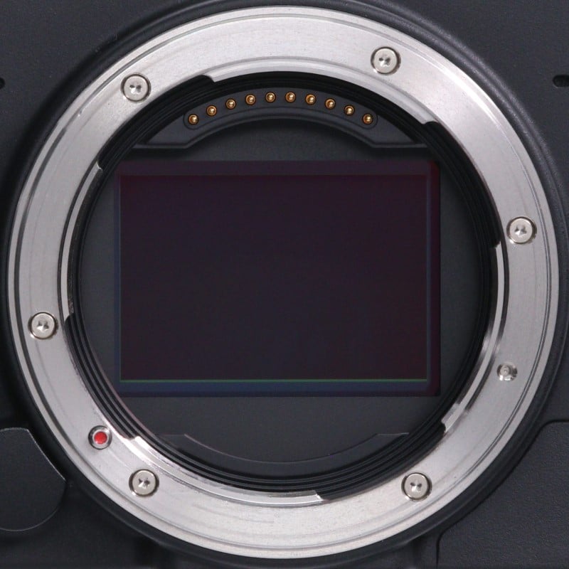 fp L ボディ