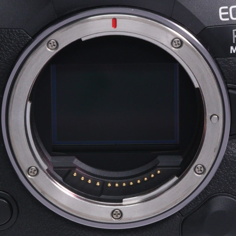 EOS R5 Mark II ボディー