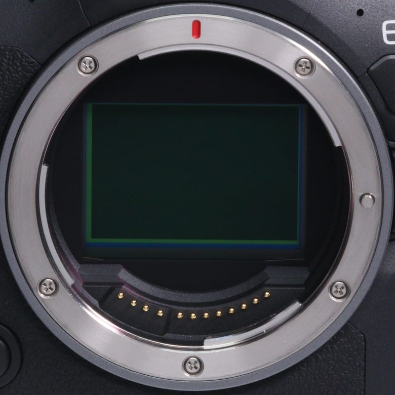 EOS R6 Mark II ボディー
